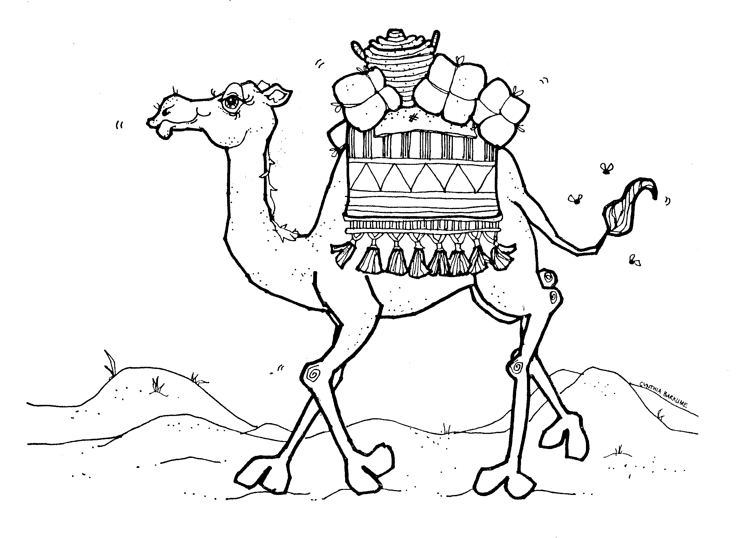 2600x1887 Camel Pages For Coloring