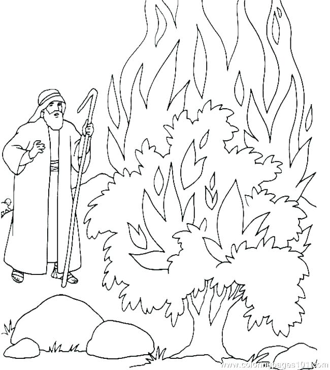 Moses And The Burning Bush Coloring Page Burning Bush Coloring 650x728 Moses And The Burning Bush Coloring Page Burning Bush Coloring