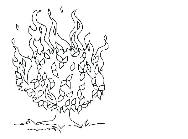 Moses And The Burning Bush Coloring Page 600x445 Moses And The Burning Bush Coloring Page