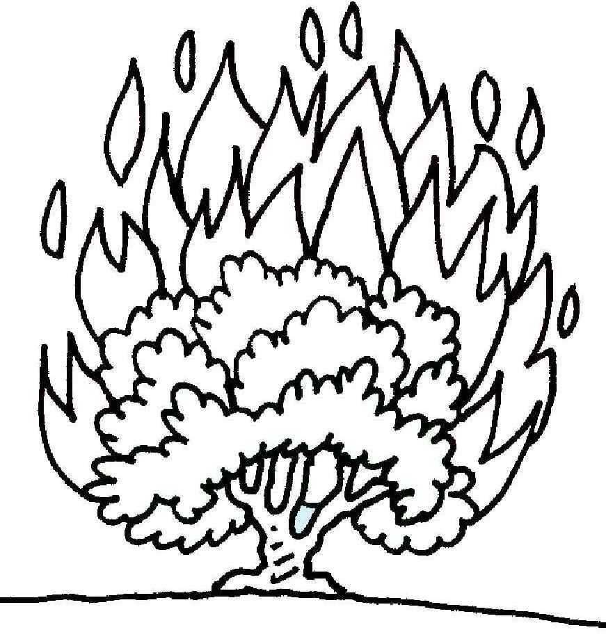 Burning Bush Coloring Page Printable Coloring Pages Church 871x919 Burning Bush Coloring Page Printable Coloring Pages Church