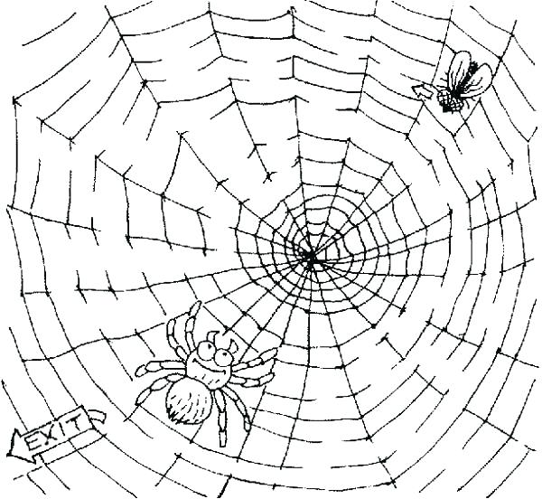 600x552 Spider Web Coloring Pages The Very Busy Spider Coloring Pages Fly