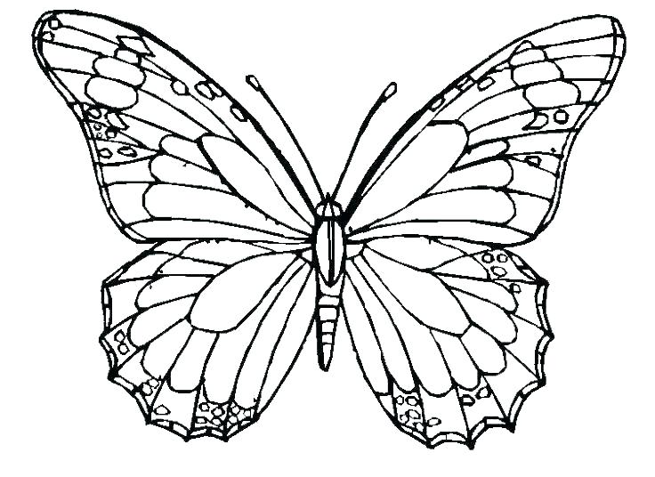 736x536 Butterfly Coloring Pages Printable Cute Monarch Bu