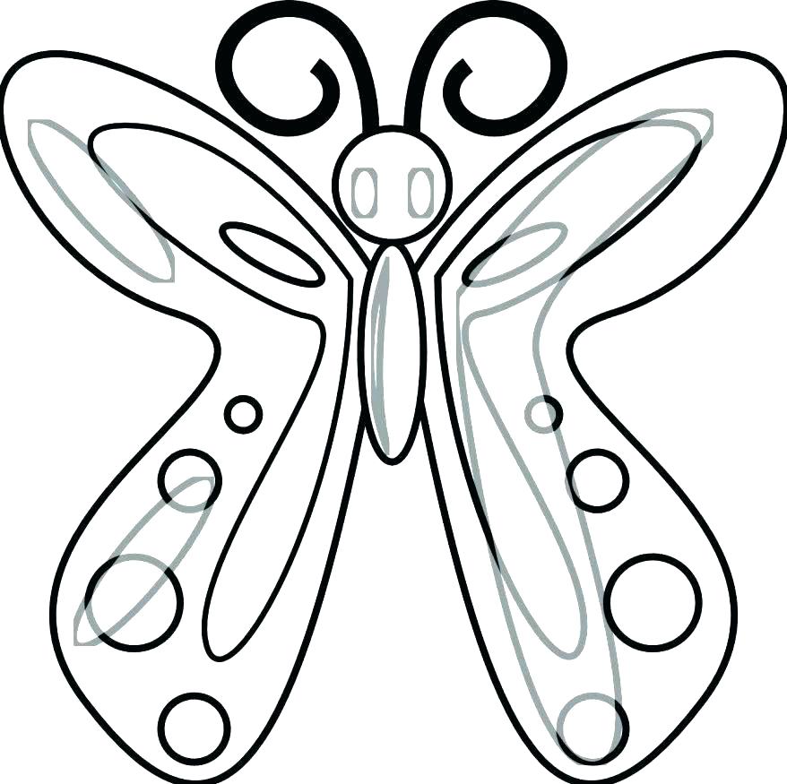 878x875 Butterfly Life Cycle Coloring Page Pdf Monarch Pages Butterflies