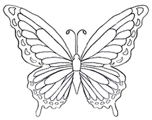 300x236 Coloring Pages Butterfly Pictures Printable Butterfly Coloring