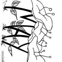 Buttercup Coloring Pages 220x220 Buttercup Coloring Pages