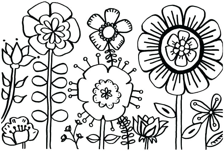 Coloring Pages For Spring Flowers Buttercup Flower Coloring Pages 728x490 Coloring Pages For Spring Flowers Buttercup Flower Coloring Pages