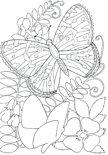 Flower Coloring Pages 22 Free Psd Ai Vector Eps Format Buttercup 366x525 Flower Coloring Pages 22 Free Psd Ai Vector Eps Format Buttercup