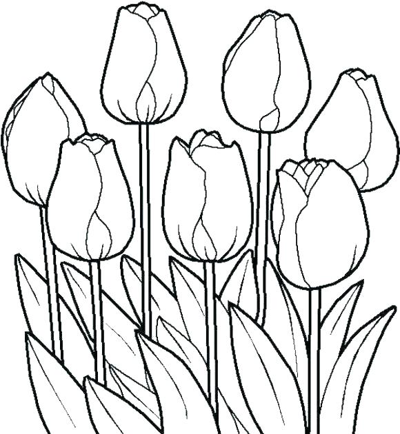 Flower Coloring Pages Pdf Together With Inspirational Free Flower 580x630 Flower Coloring Pages Pdf Together With Inspirational Free Flower