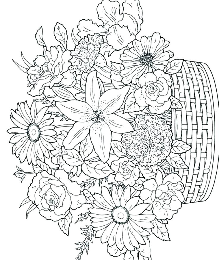 Flowering Coloring Pages Buttercup Coloring Pages Flower Coloring 736x875 Flowering Coloring Pages Buttercup Coloring Pages Flower Coloring