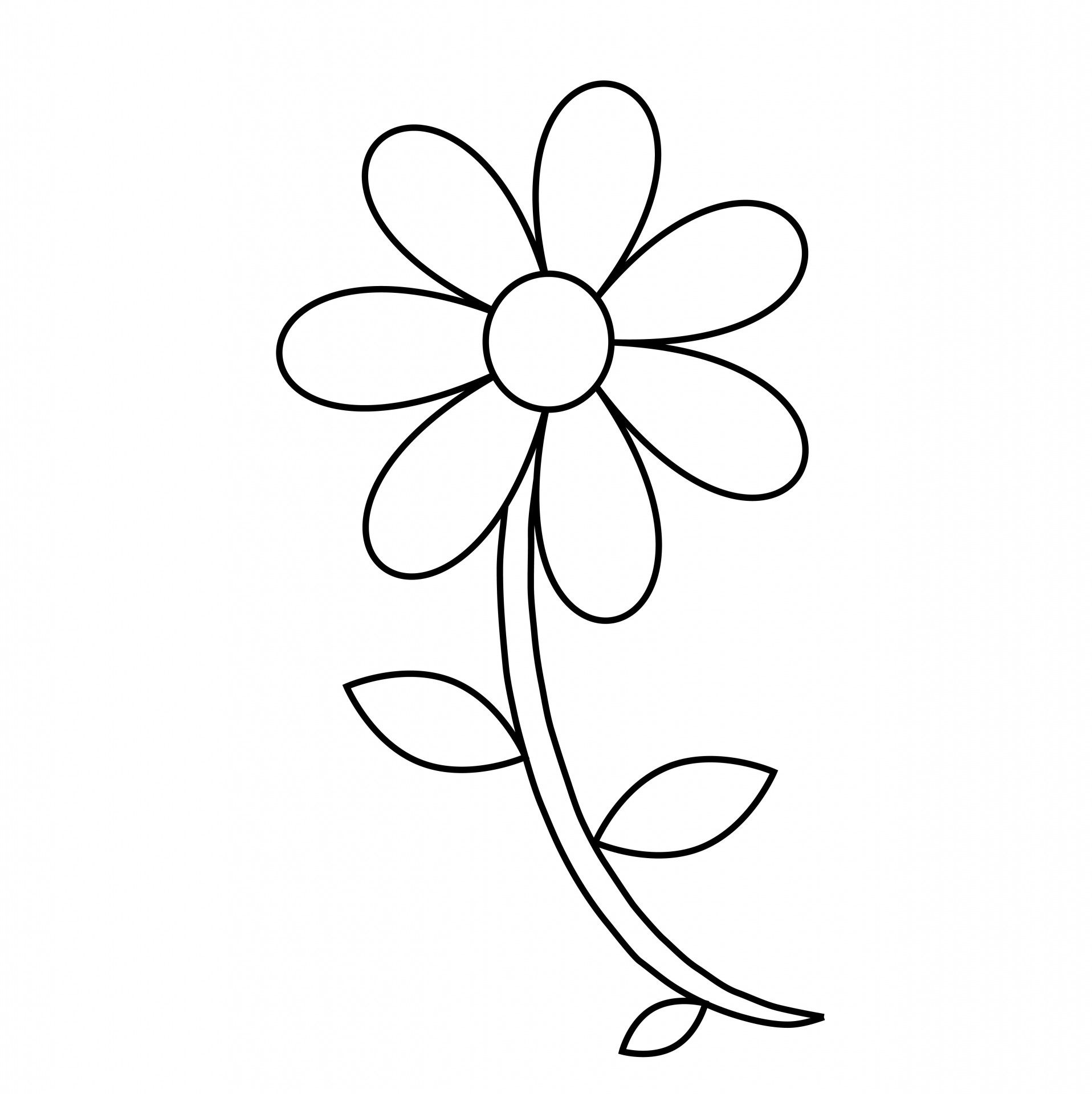 Inspiring Flower Outlines Clip Art On Pics For Buttercup Coloring 1916x1920 Inspiring Flower Outlines Clip Art On Pics For Buttercup Coloring