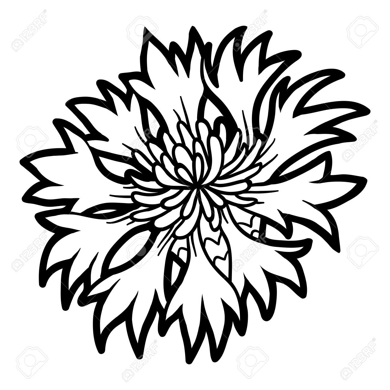 Awesome Coloring Book For Children Flower Cornflower Royalty 1300x1300 Awesome Coloring Book For Children Flower Cornflower Royalty