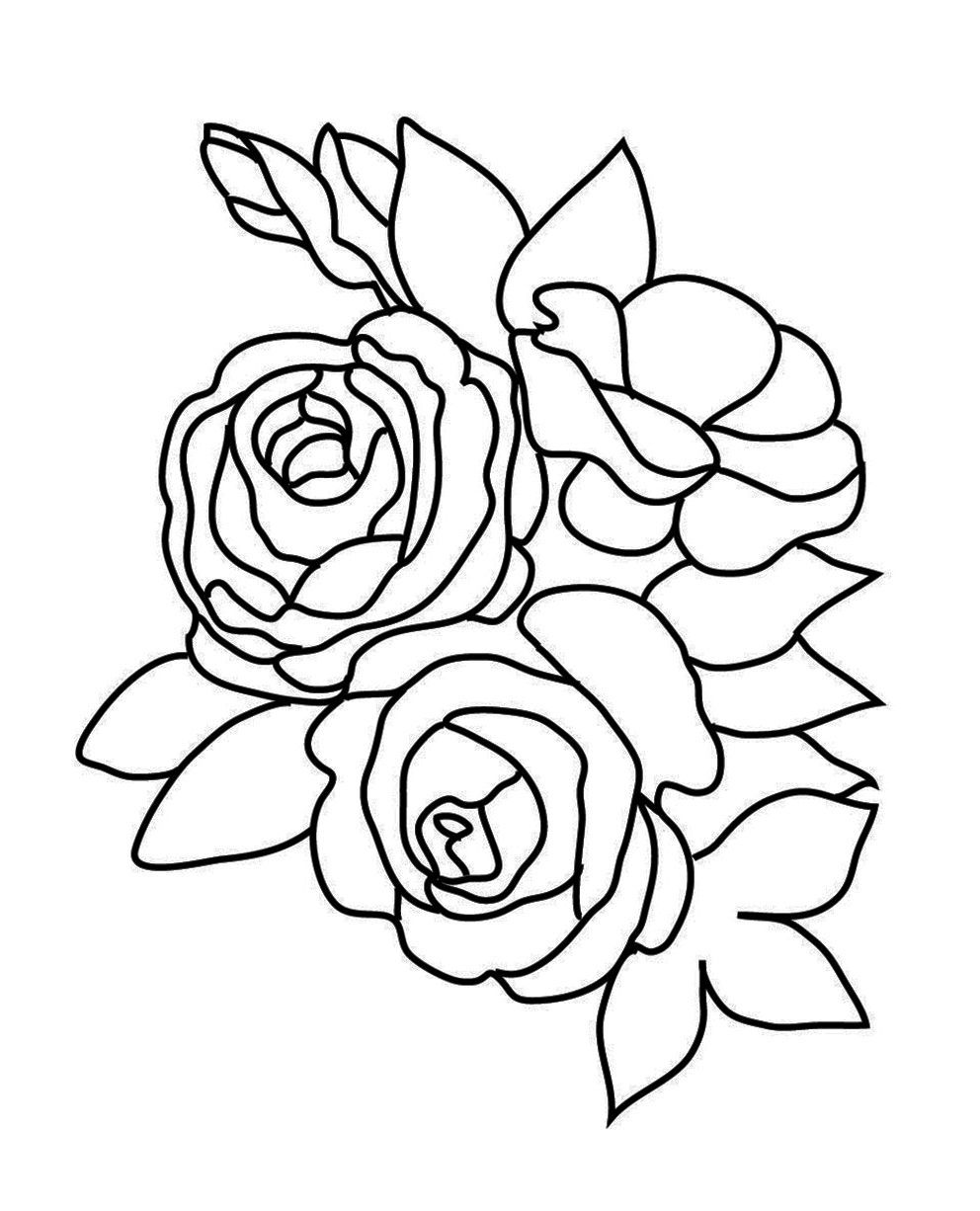 Stunning Value Buttercup Flower Coloring Pages For Image Of Style 992x1226 Stunning Value Buttercup Flower Coloring Pages For Image Of Style