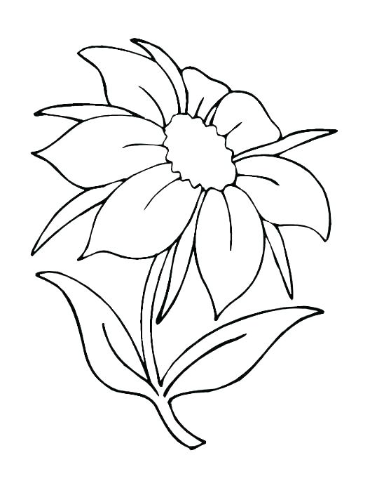 Flower Bouquet Coloring Pages 548x685 Flower Bouquet Coloring Pages