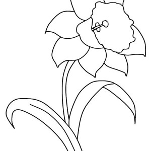 Buttercup Flower Coloring Pages Color Bros 300x300 Buttercup Flower Coloring Pages Color Bros