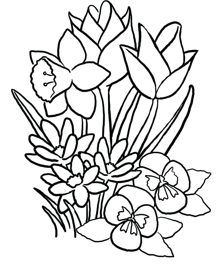 736x887 Cute Spring Flower Coloring Pages And Butterfly Flowers Page Cute