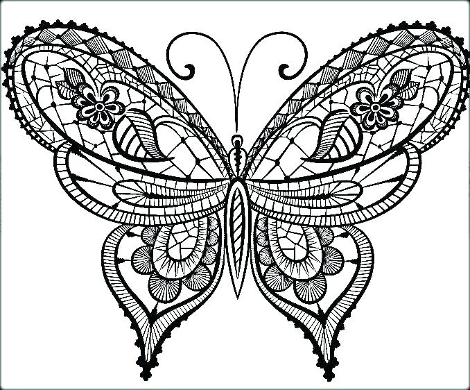 678x562 Coloring Pages Butterfly