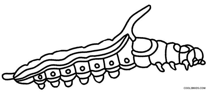 Printable Caterpillar Coloring Pages For Kids Cool2bkids 728x325 Printable Caterpillar Coloring Pages For Kids Cool2bkids