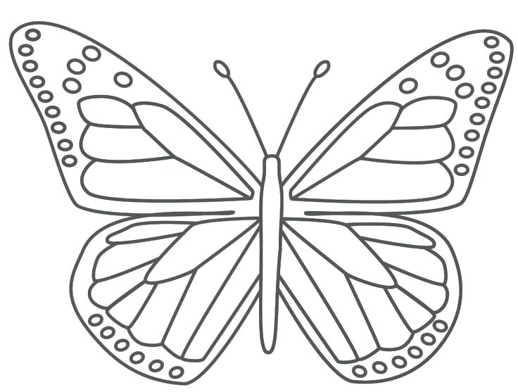 736x557 Coloring Pages Butterfly Pictures Printable Butterfly Coloring