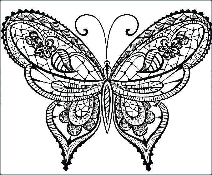 678x562 Free Downloadable Butterfly Coloring Pages Beautiful For Preschool