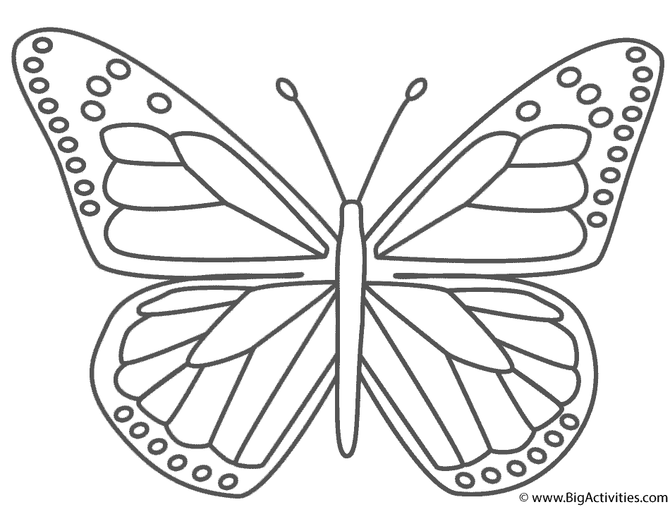 950x719 Monarch Butterfly Coloring Sheet Monarch Butterfly Coloring Page