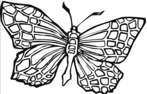 290x186 Printable Butterfly Coloring Page
