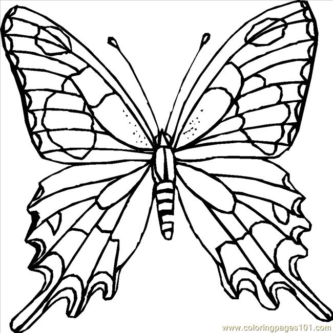 Butterfly Coloring Pages Online 650x651 Butterfly Coloring Pages Online