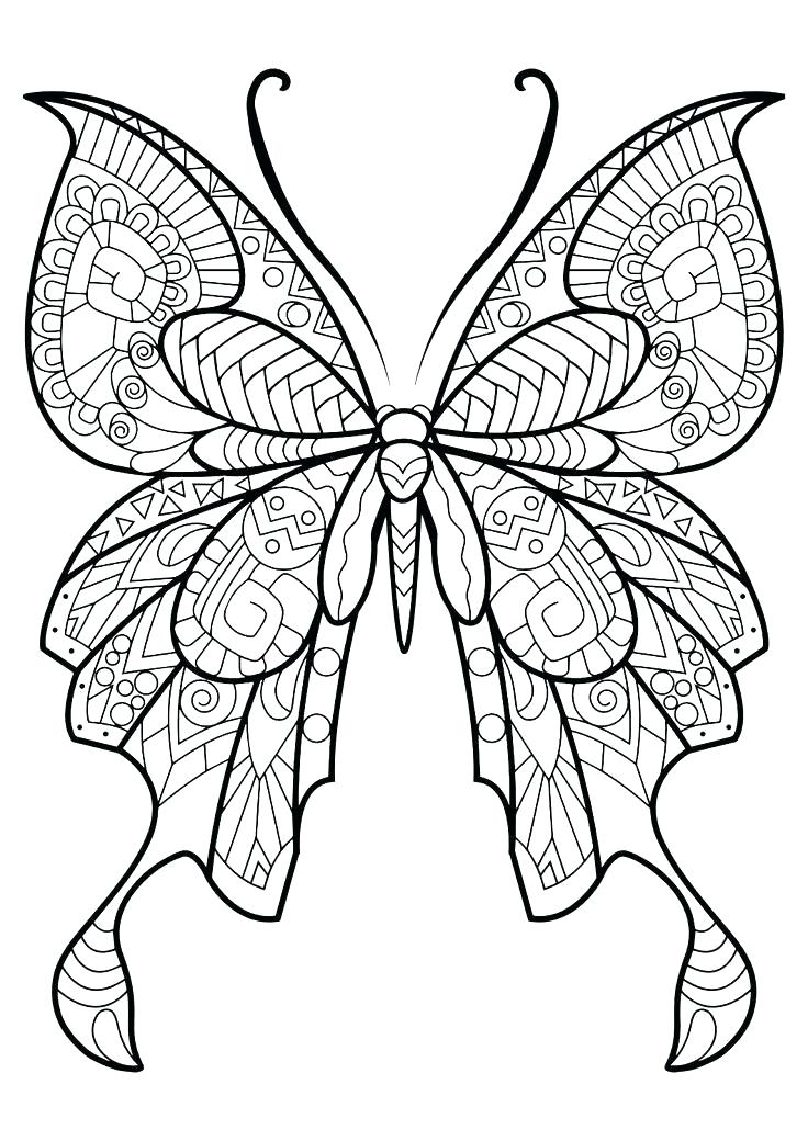 Life Cycle Of A Butterfly Coloring Page Coloring Page Of Butterfly 736x1040 Life Cycle Of A Butterfly Coloring Page Coloring Page Of Butterfly