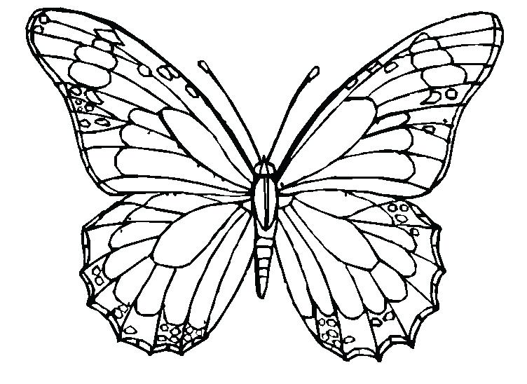 Monarch Butterfly Coloring Pages Free 752x548 Monarch Butterfly Coloring Pages Free