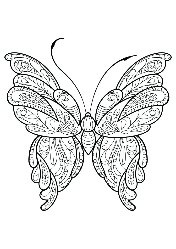 Butterfly Coloring Book Also Butterflies Coloring Book Adult 736x1040 Butterfly Coloring Book Also Butterflies Coloring Book Adult