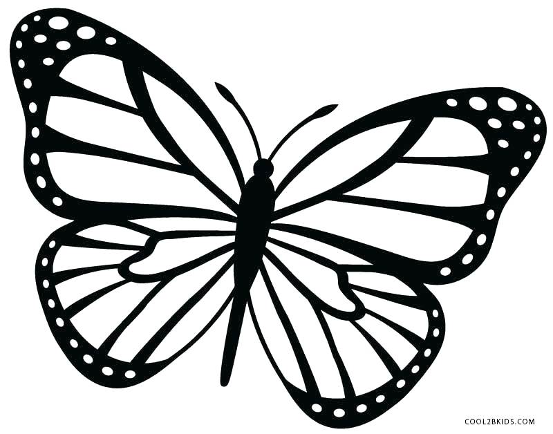 Butterfly Coloring Book Pages To Print Kids Coloring Butterfly 800x628 Butterfly Coloring Book Pages To Print Kids Coloring Butterfly