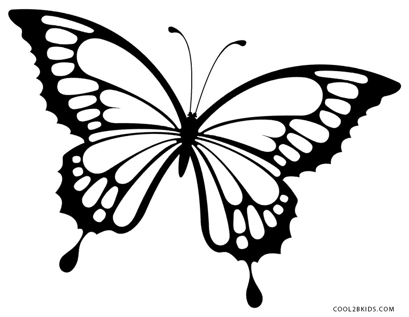 Coloring Butterfly Printable Butterfly Coloring Pages For Kids 800x620 Coloring Butterfly Printable Butterfly Coloring Pages For Kids