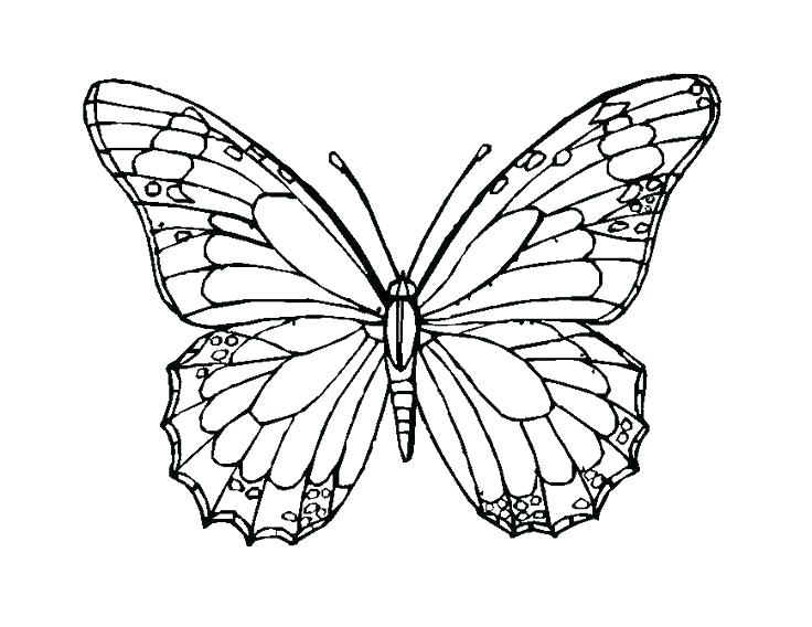 Mosaic Coloring Pages Free Mosaic Coloring Pages Butterfly Color 736x568 Mosaic Coloring Pages Free Mosaic Coloring Pages Butterfly Color