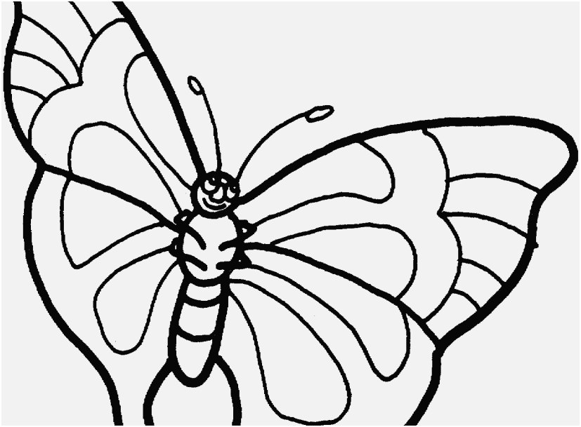 The Perfect Pic Printable Butterfly Coloring Pages Progressive 827x609 The Perfect Pic Printable Butterfly Coloring Pages Progressive
