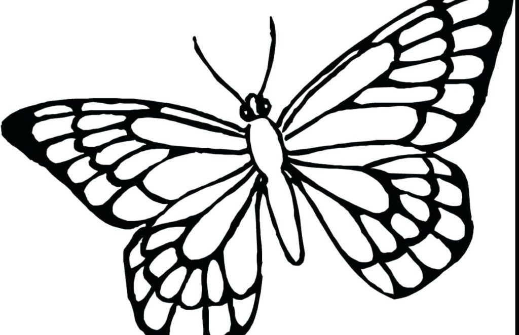 Coloring Page ~ Butterfly Coloring Pages Printable And For Kids 1024x662 Coloring Page ~ Butterfly Coloring Pages Printable And For Kids