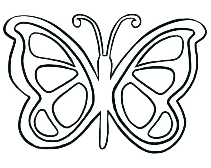 Butterfly Colouring Pages For Adults Beautiful Coloring Preschool 800x635 Butterfly Colouring Pages For Adults Beautiful Coloring Preschool