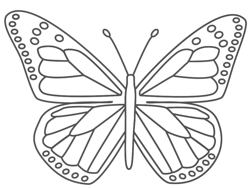 950x719 Butterfly Coloring Pages For Preschool Printable Coloring Pages