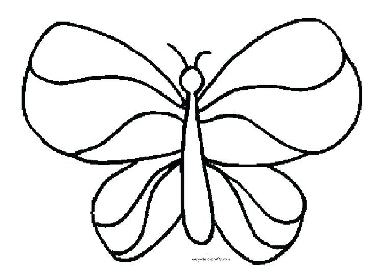 736x546 Coloring Page Butterfly Unusual Butterfly Coloring Pages