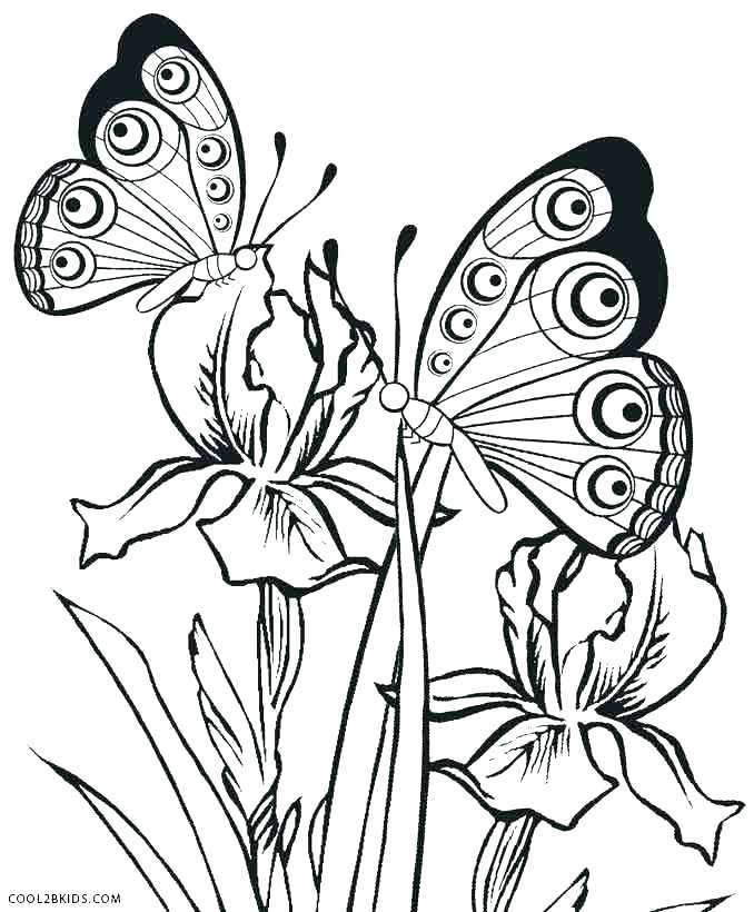 678x820 Butterfly Printable Coloring Pages Monarch Butterfly Coloring