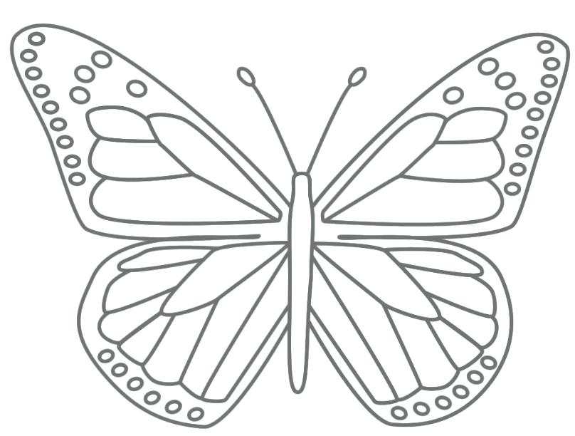 808x612 Simple Butterfly Coloring Pages Page For Kids Pertaining To Free