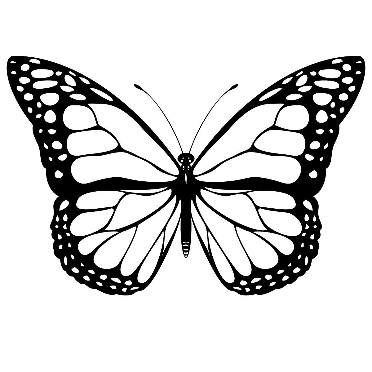 1200x1200 Top Butterflies To Colour Free Printable Butterfly Coloring Pages