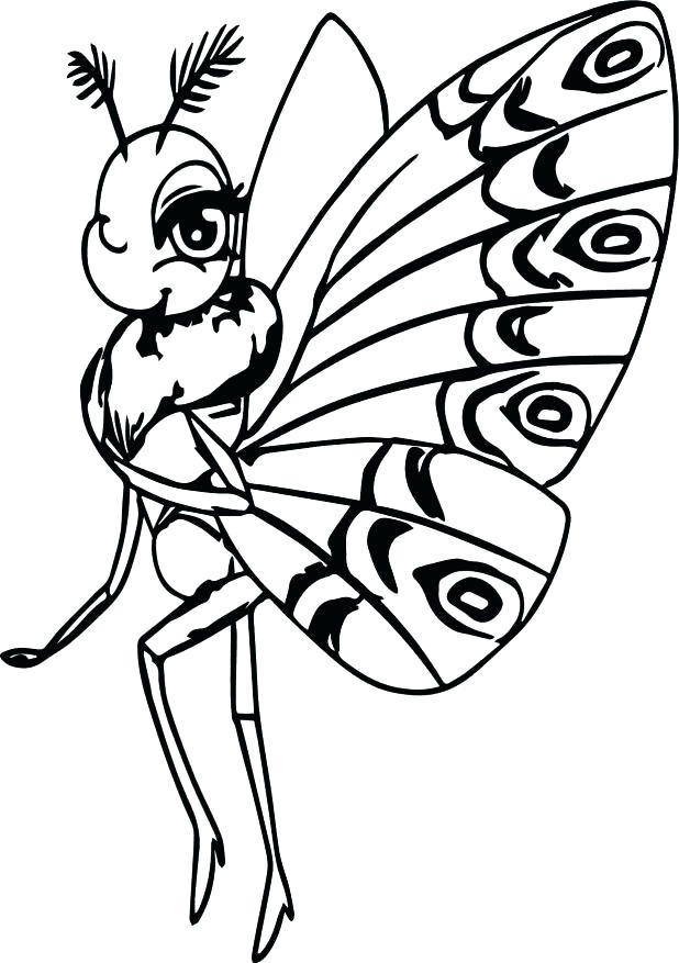 618x877 Butterfly Coloring Page Life Cycle Of A Butterfly Coloring Page
