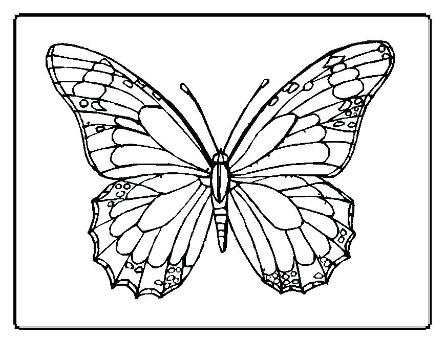 Butterfly Patterns To Color Butterfly Patterns Simply Simple Free 869x671 Butterfly Patterns To Color Butterfly Patterns Simply Simple Free