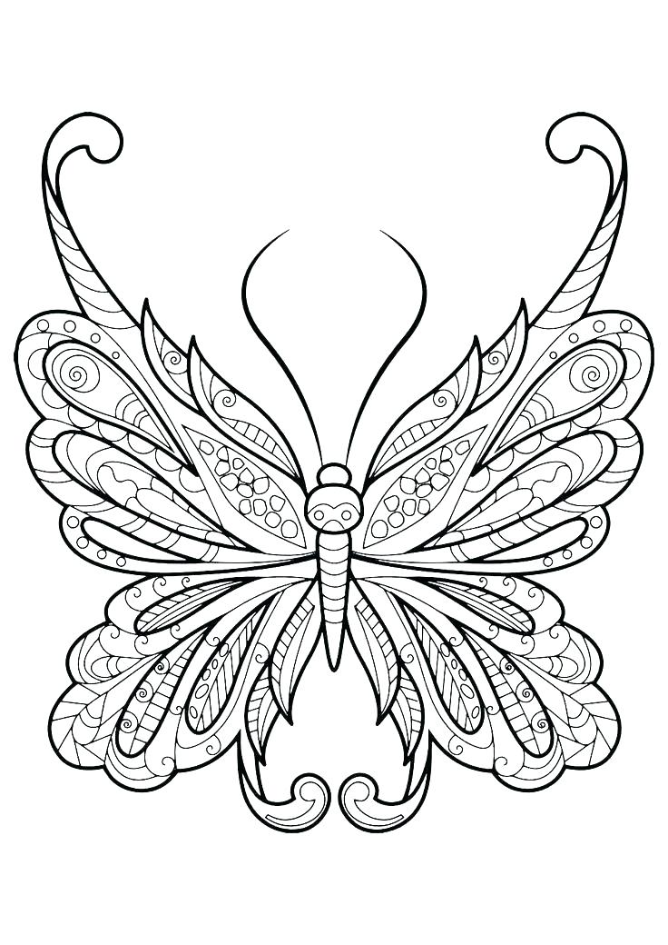 Butterfly Design Coloring Pages at GetColorings.com | Free printable ...