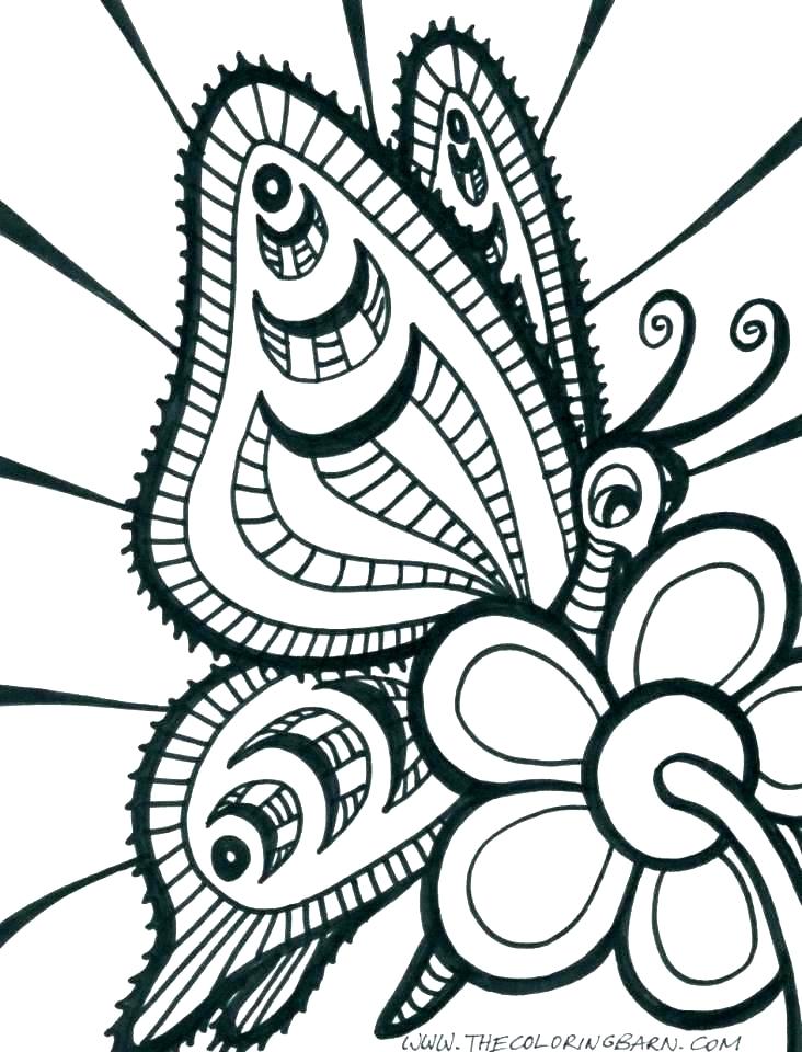 Coloring Page Butterfly 732x960 Coloring Page Butterfly