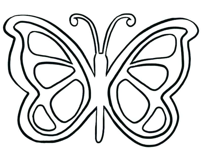 Coloring Page Of Butterfly 800x635 Coloring Page Of Butterfly