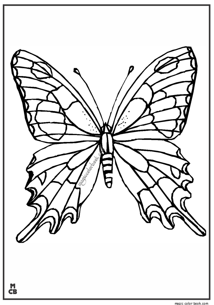 Adults Patterns Coloring Pages Butterfly 685x975 Adults Patterns Coloring Pages Butterfly