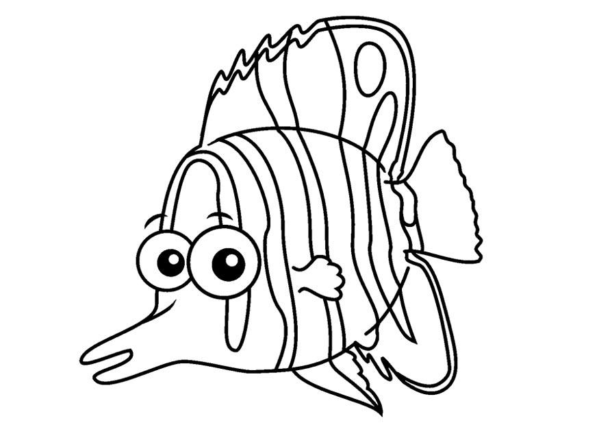 Coloring Page Butterflyfish 875x620 Coloring Page Butterflyfish