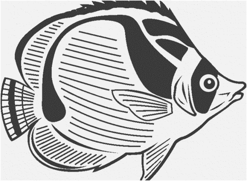 Fish Coloring Pages Pdf Design Print Amp Download Cute And Educative 827x609 Fish Coloring Pages Pdf Design Print Amp Download Cute And Educative