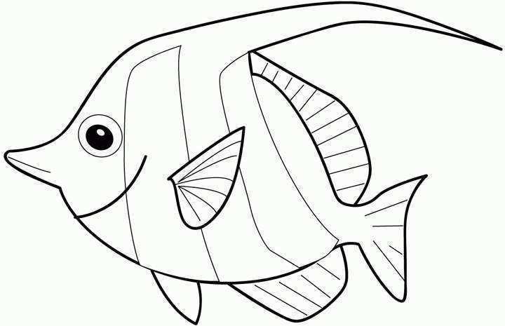 Gill Fish Coloring Pages Coloring Pages 720x465 Gill Fish Coloring Pages Coloring Pages