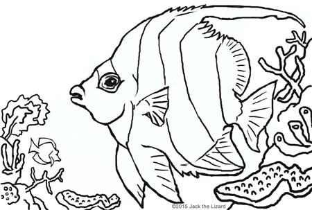 Animal Coloring Pages 450x303 Animal Coloring Pages